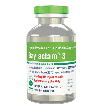 Baylactam® 3