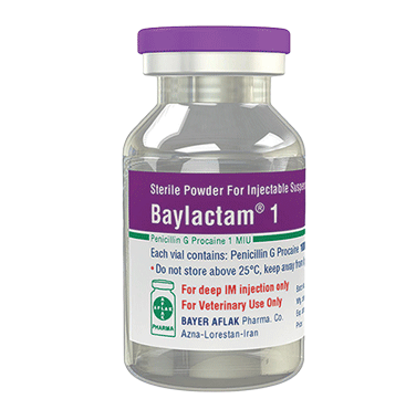 Baylactam® 1