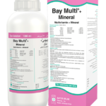 Bay Multi® + Mineral
